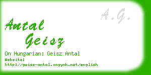 antal geisz business card